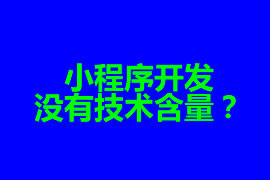 小程序開發(fā)沒有技術含量？