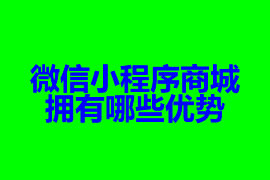 微信小程序商城擁有哪些優(yōu)勢(shì)【廣州小程序開(kāi)發(fā)】